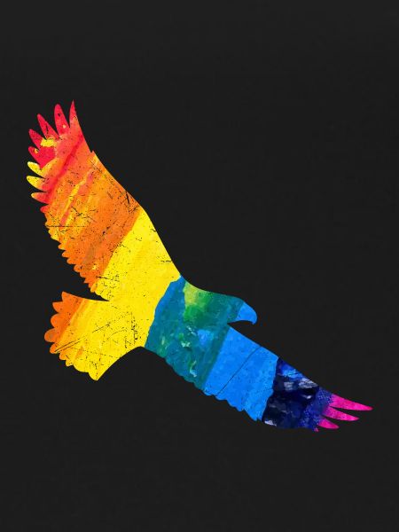 Rainbow Eagle Gift Idea