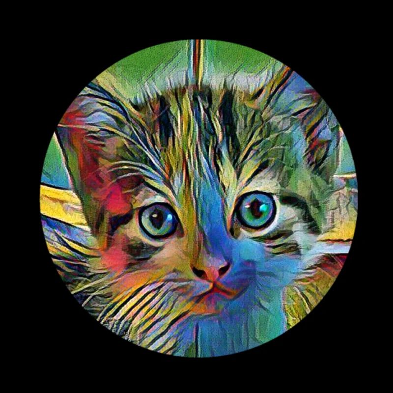 Chat