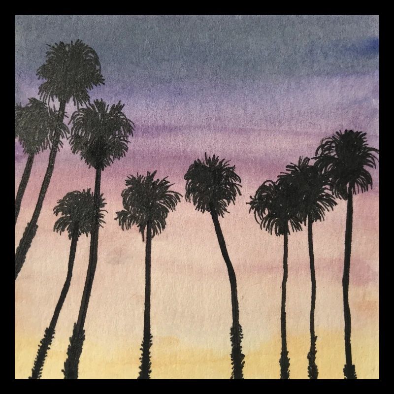 Palm trees at sunrise sunset