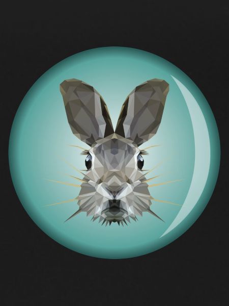 Rabbit head