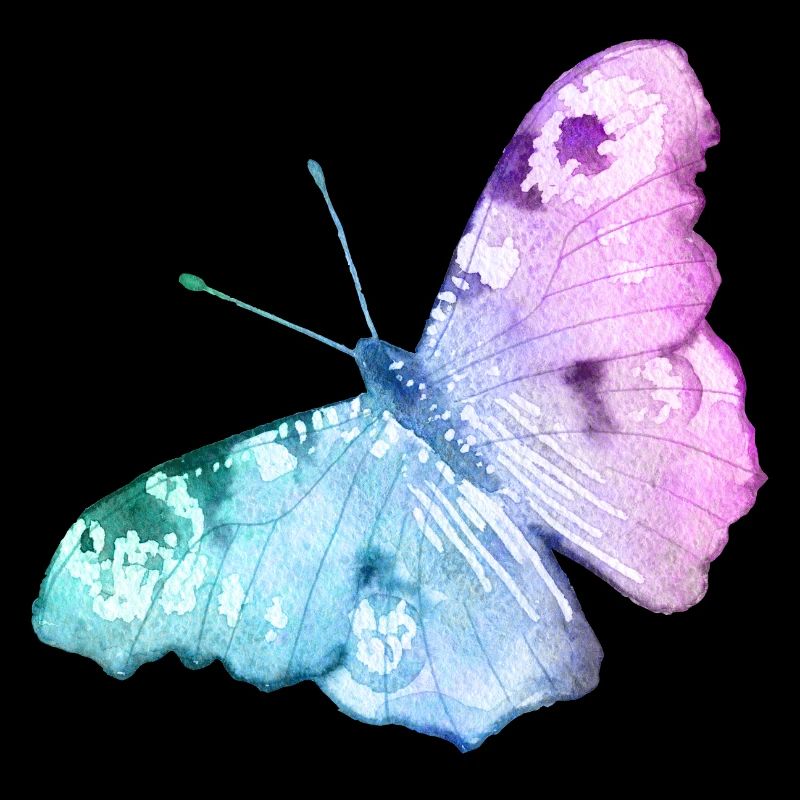 Schmetterling
