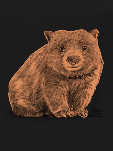 Wombat
