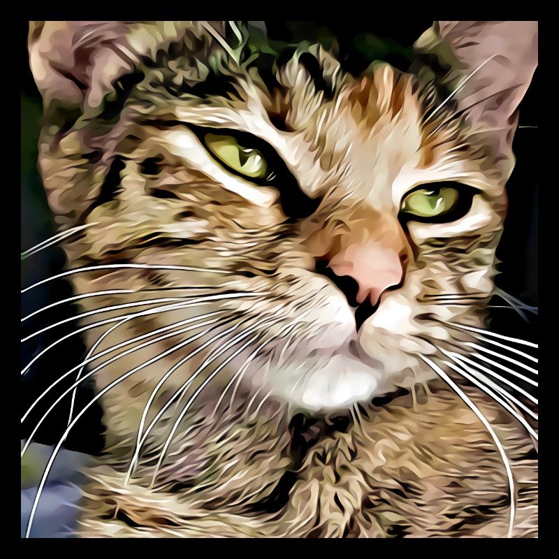 Portrait de chat tabby