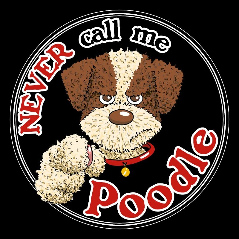 Poodle1 1