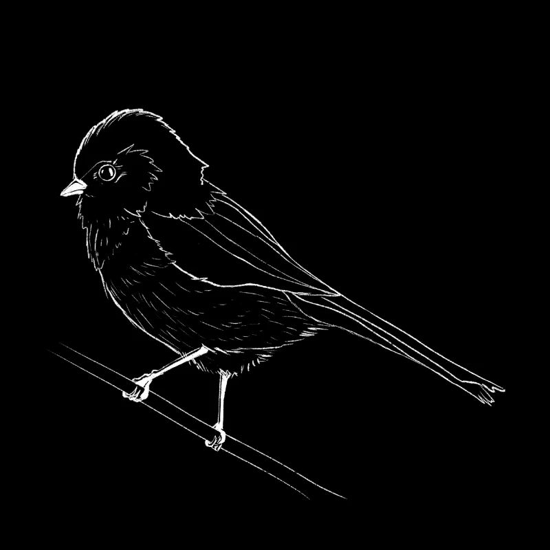 Small white bird