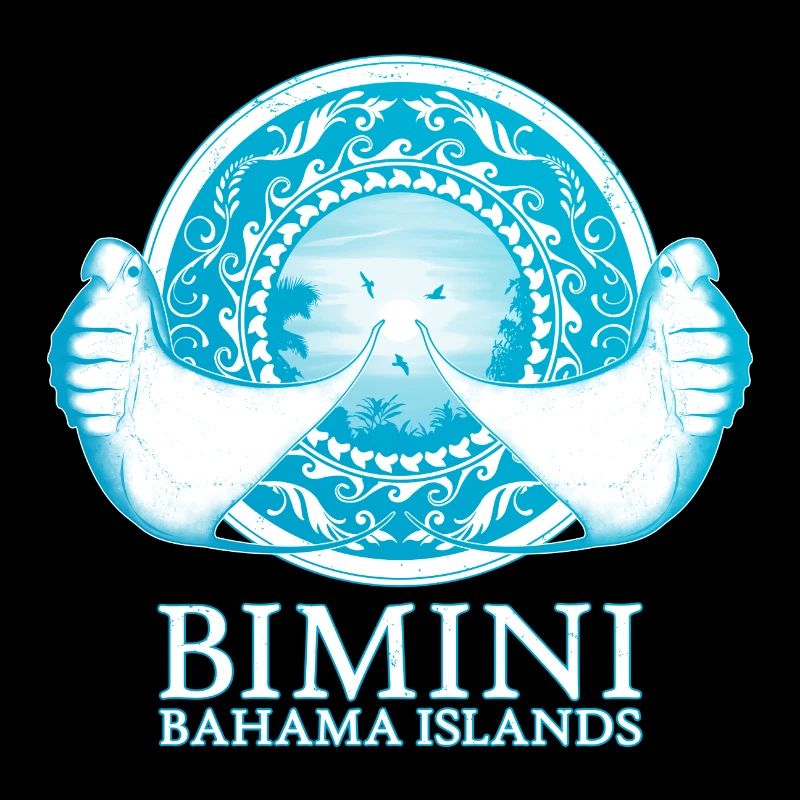 Manta rays Bimini Bahamas