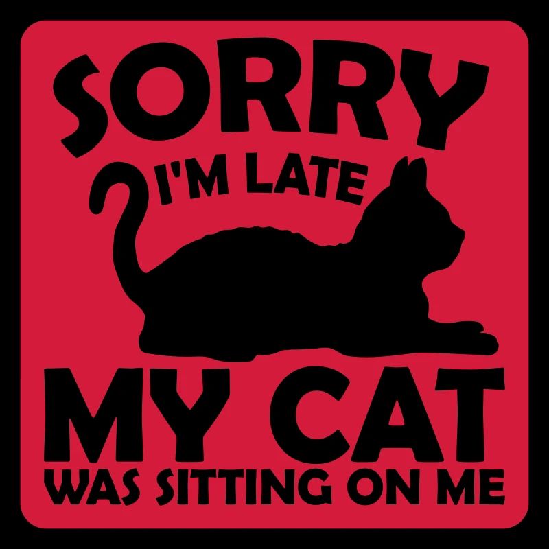 désolé chat était assis