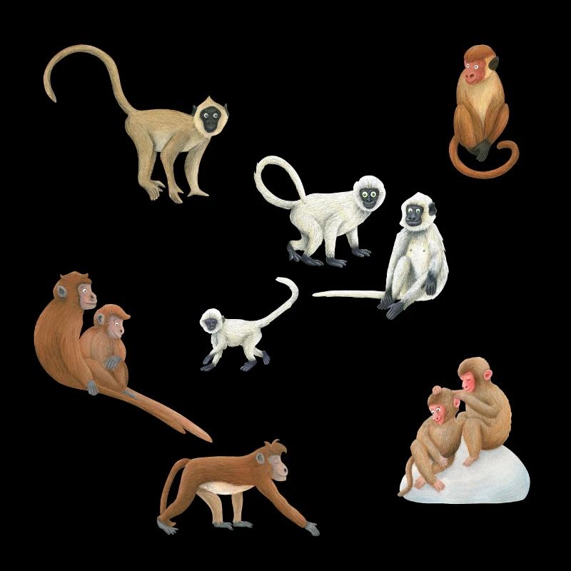 Asian monkeys