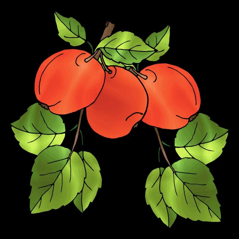 Äpfel
