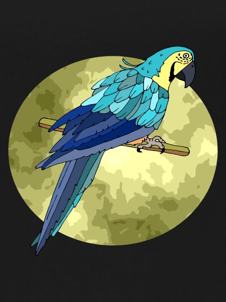 Oiseau