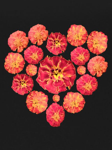 Heart ByRino