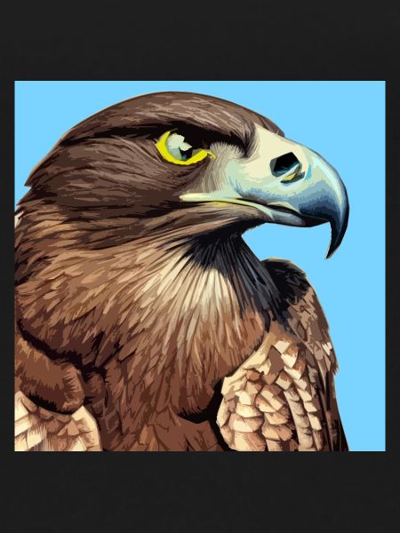 Eagle head illustration