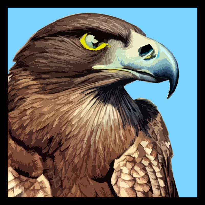 Illustration de la tête d’aigle