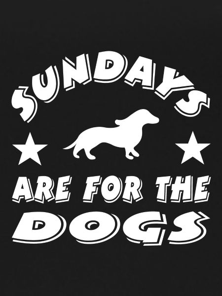 Dachshund