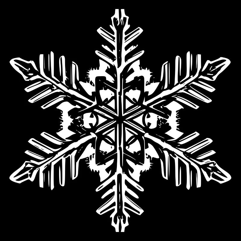 Snowflake Snow Winter Christmas Cold 6