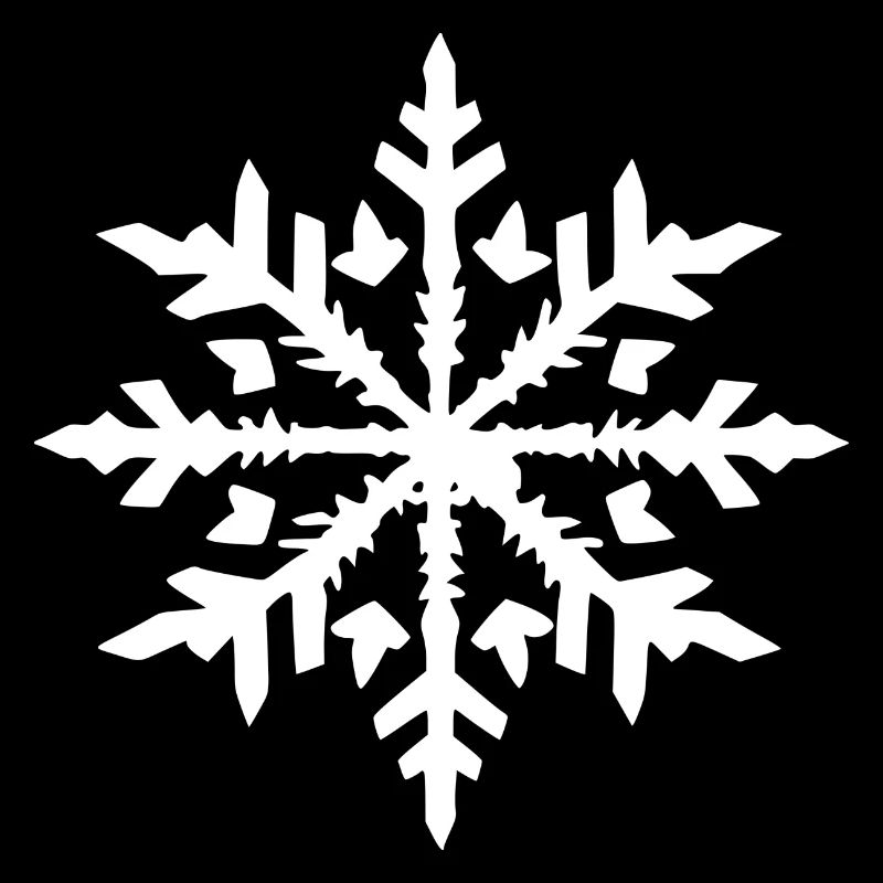 Snowflake Snow Winter Christmas Cold 10
