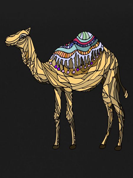 Kamel