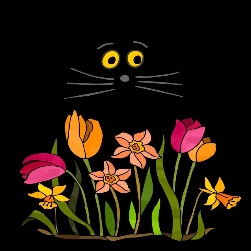 Katze