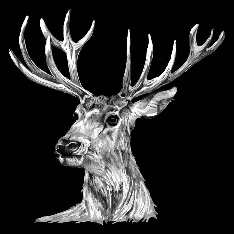 Cerf