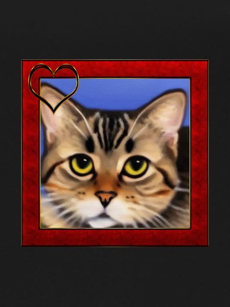 Cat portrait 8