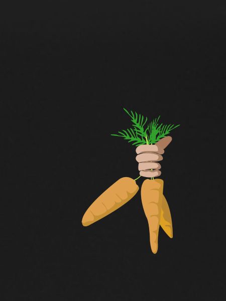 bote de carrotes