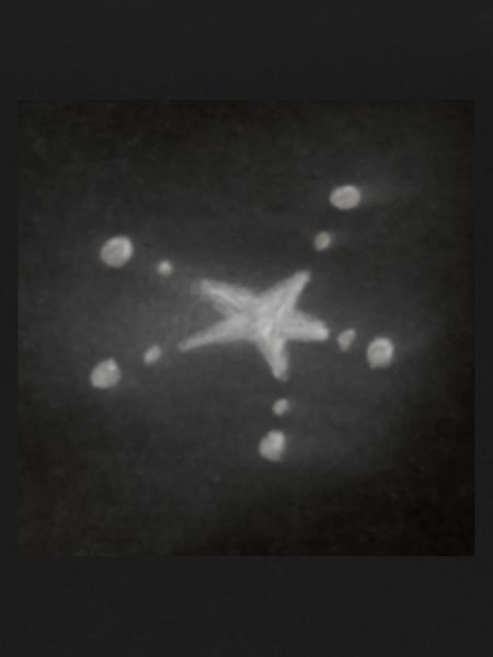 GREY STAR