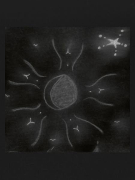 LUNE ÉTOILÉE