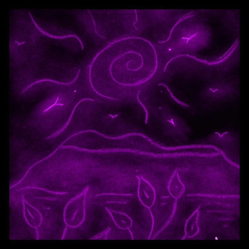 PAYSAGE NOCTURNE VIOLET