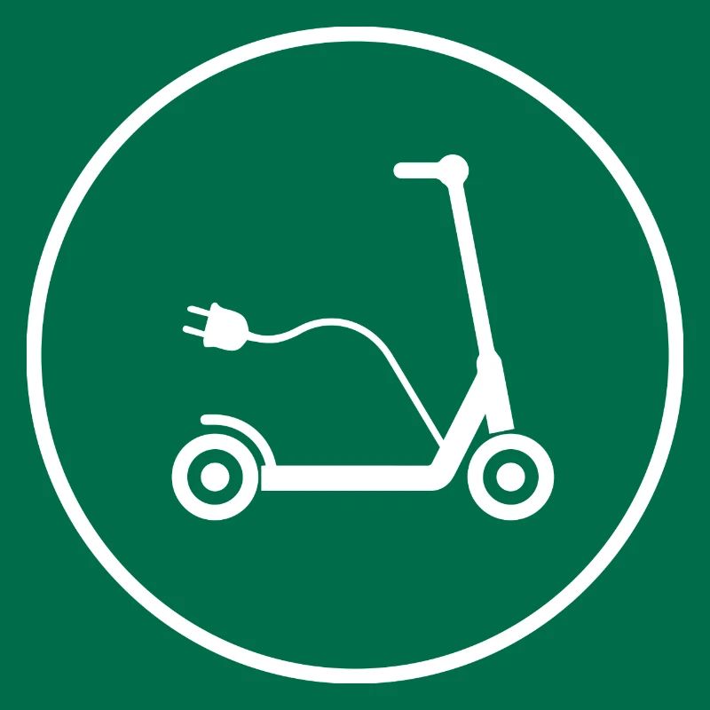 E-Scooter E-Roller Scooter