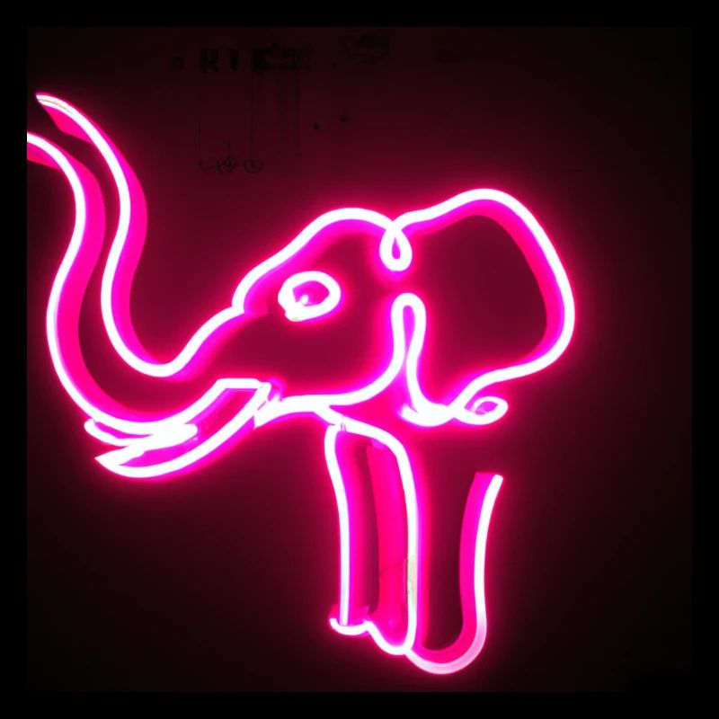 help_for_elephants_05