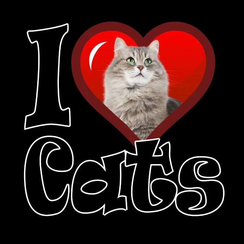 I love Cats