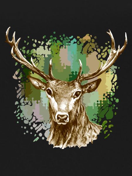 Deer
