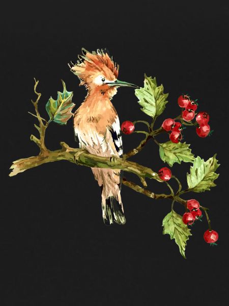 Bunter Vogel