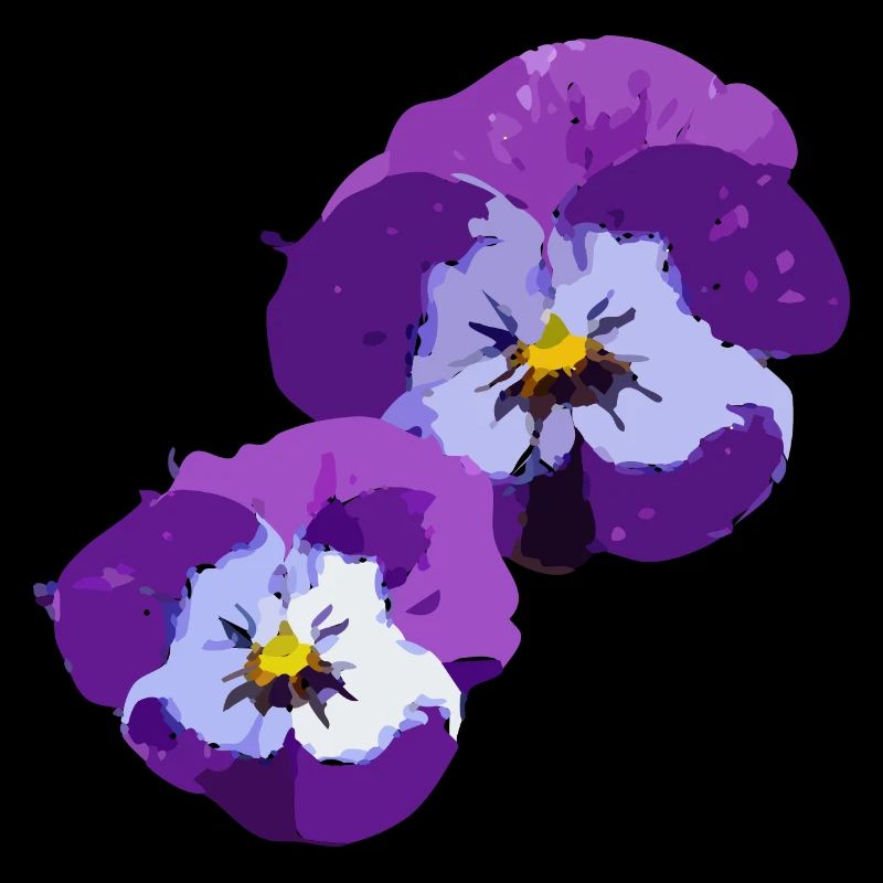 Pansies