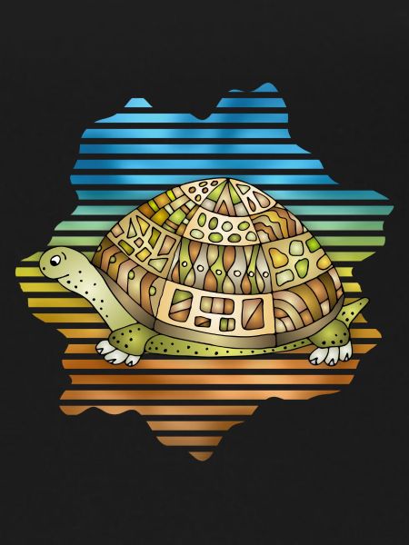 Tortoise