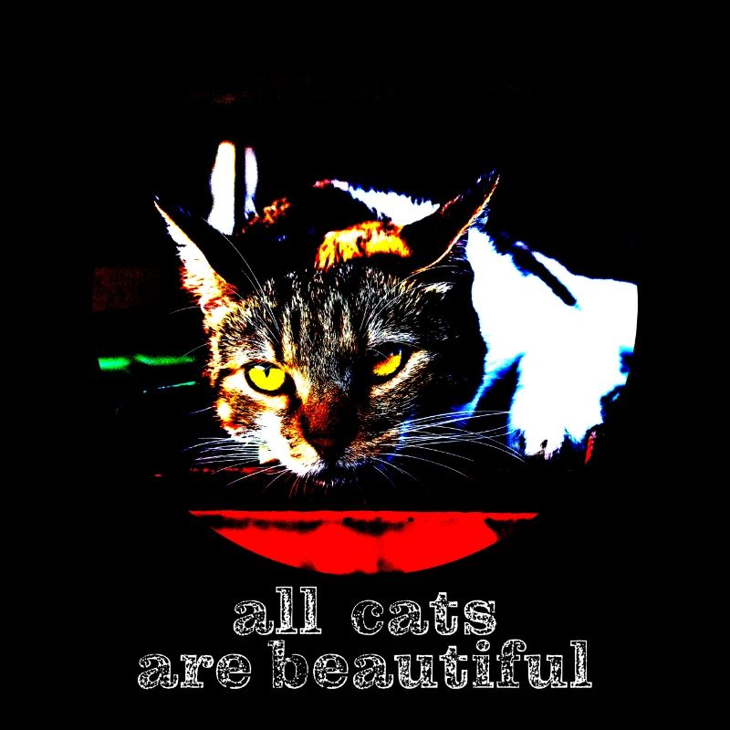 tous les chats sont beaux