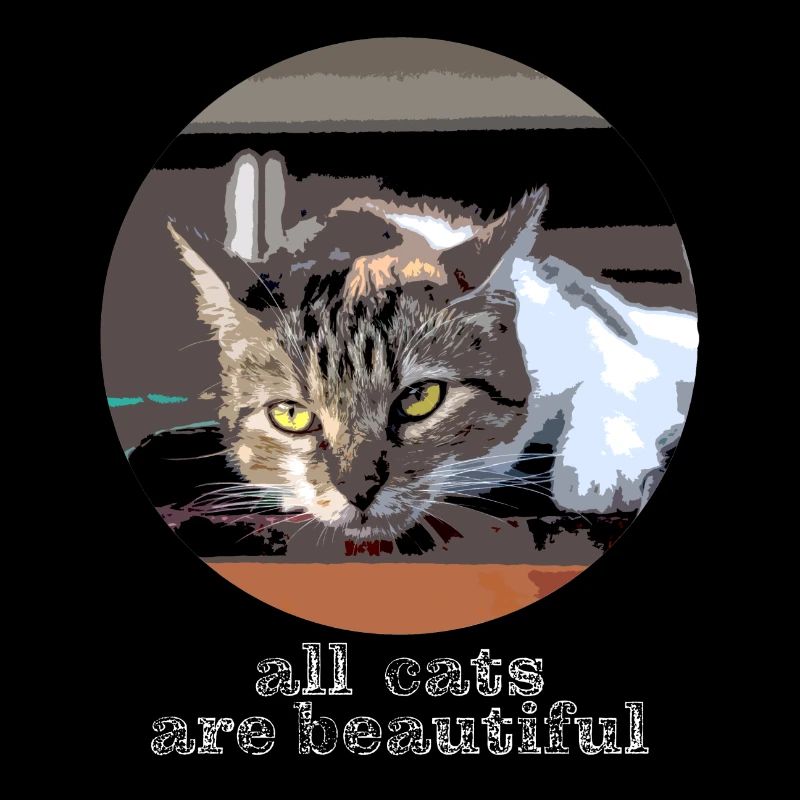 tous les chats sont beaux