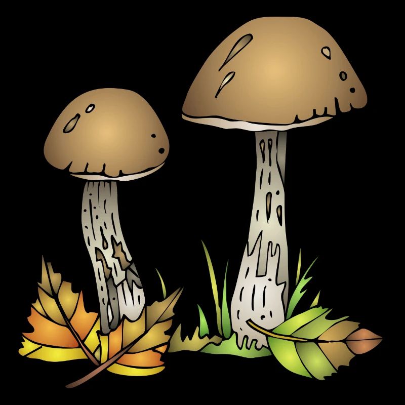 Mycètes