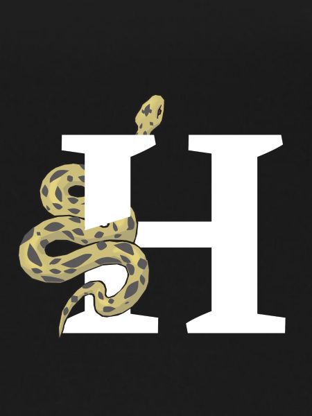 Letter h snake