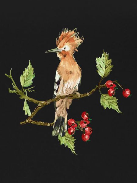 Bunter Vogel