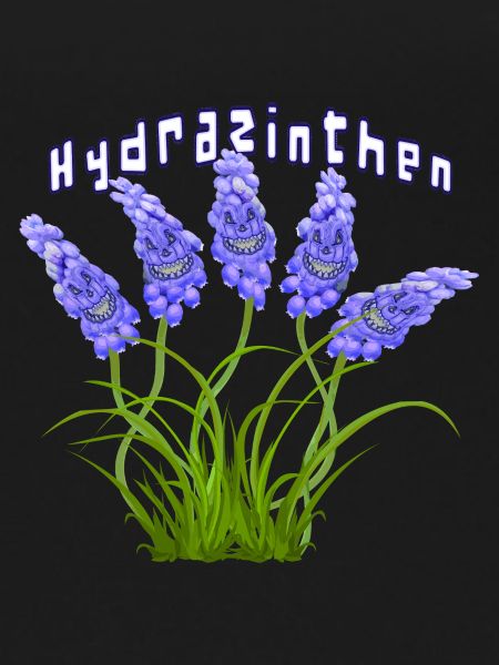 Hydrazinthen - Hydra-Hyazinthen