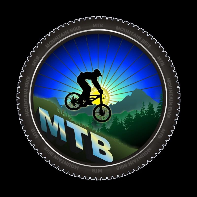 Roue VTT VTT