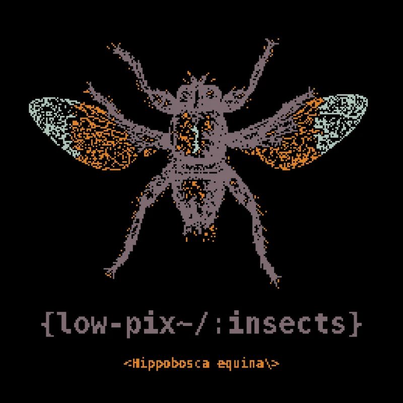 Mouche des forêts