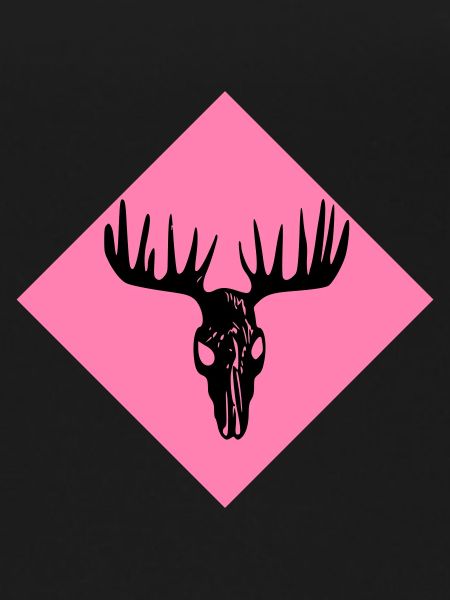 Moose Skull
