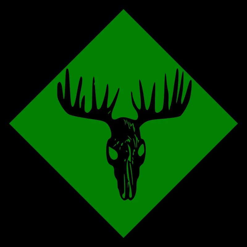 Elch-Schädel