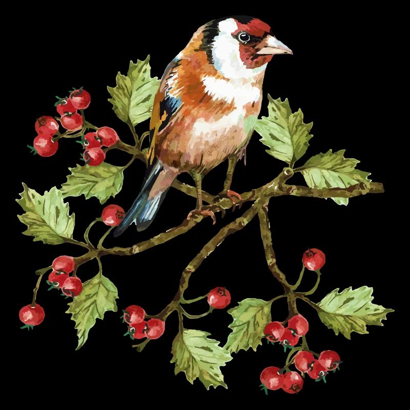 Colorful bird