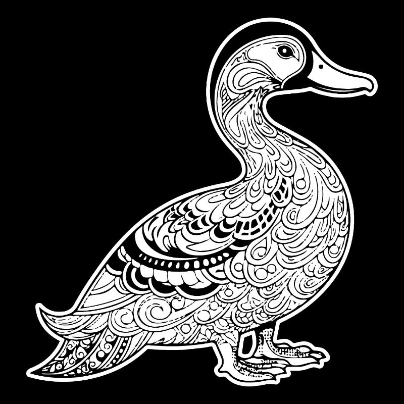 Canard Oiseaux Canards