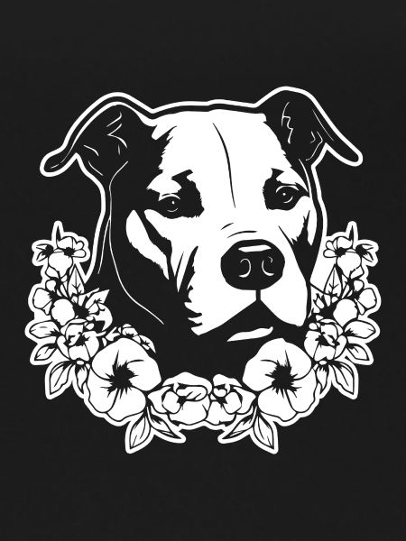 Pitbull