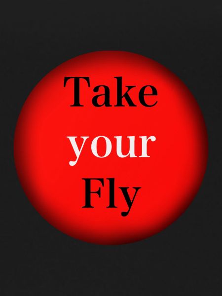 Take your Fly