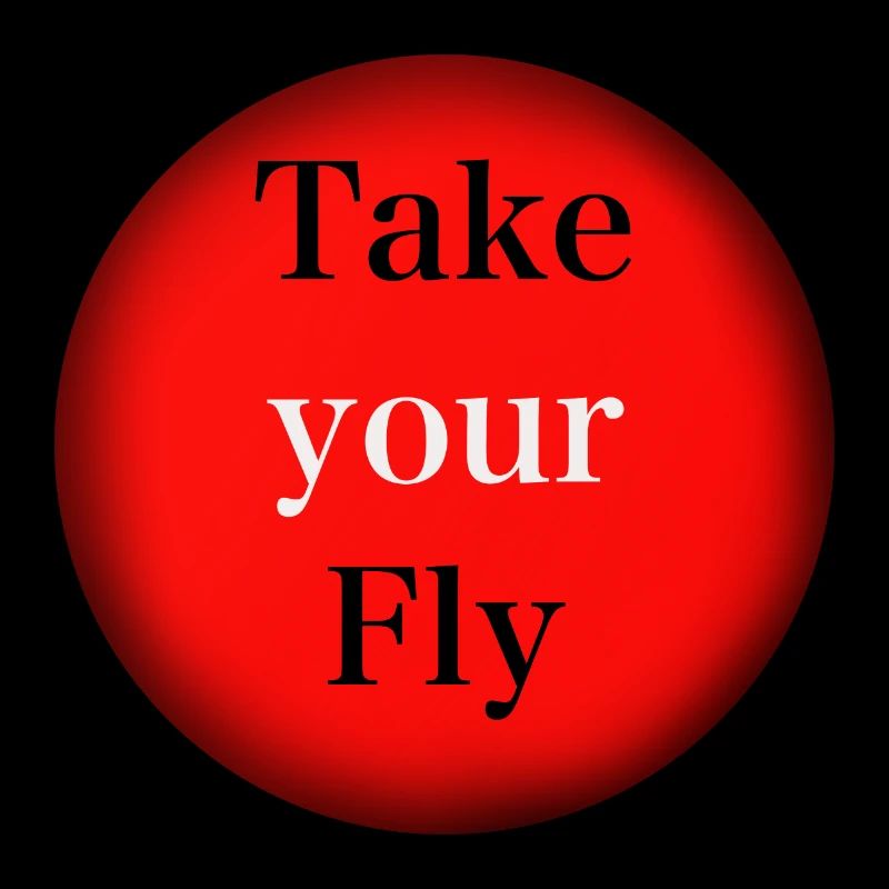 Take your Fly